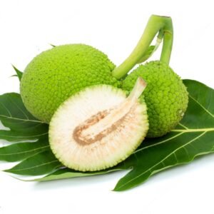 Breadfruit (දෙල්)